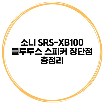 소니 SRS-XB100 블루투스 스피커 장단점 총정리