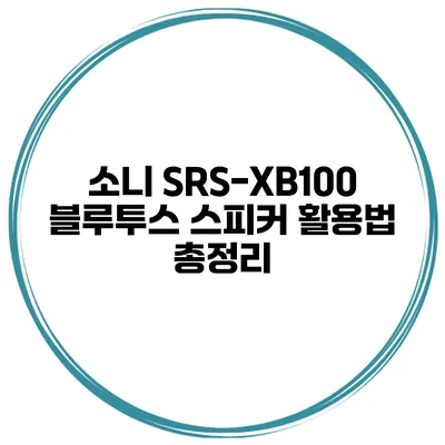 소니 SRS-XB100 블루투스 스피커 활용법 총정리