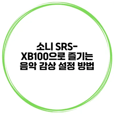 소니 SRS-XB100으로 즐기는 음악 감상 설정 방법