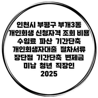 인천시 부평구 부개3동 개인회생 신청자격 조회 비용 수임료 | 파산 | 기간단축 | 개인회생자대출 | 절차서류 | 장단점 | 기간단축 | 변제금 미납 | 청년 | 직장인 2025