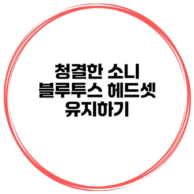 청결한 소니 블루투스 헤드셋 유지하기