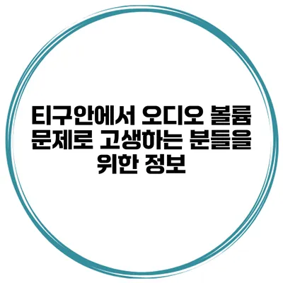 티구안에서 오디오 볼륨 문제로 고생하는 분들을 위한 정보